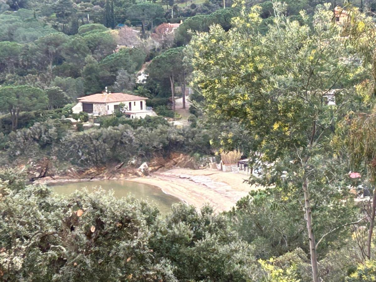 Suosogno Sul Mare 200Metri Dalla Spiaggia 卡波利韦里 外观 照片